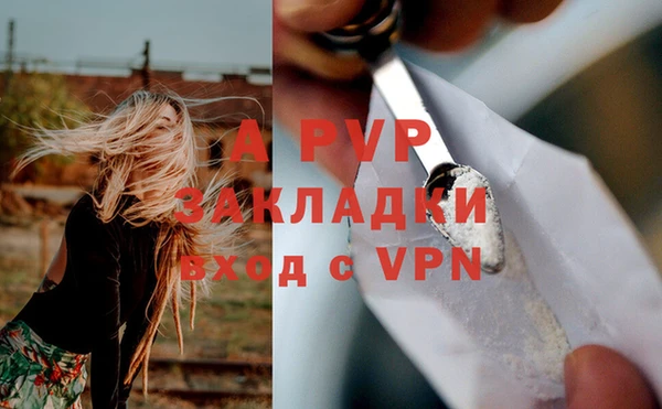 соль ск Ладушкин